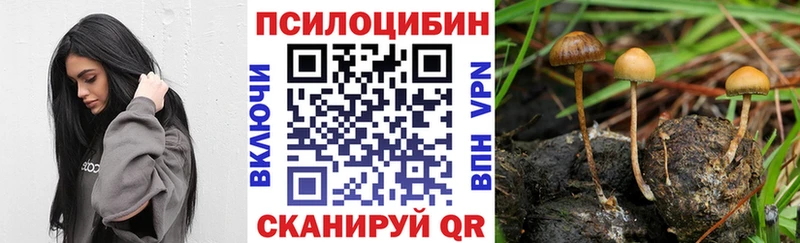 Псилоцибиновые грибы Magic Shrooms  Купить где  Среднеуральск 